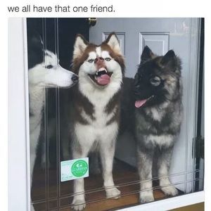 Meet your Posher, Jessy